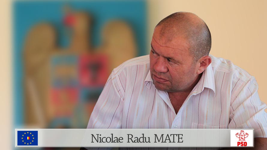 Nicolae Radu MATE